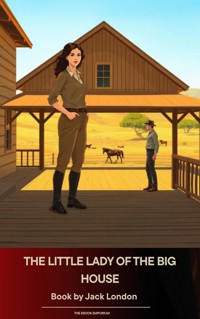 The Little Lady of the Big House - Jack London - ebook