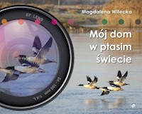 Mój dom w ptasim świecie - Witecka Magdalena - książka