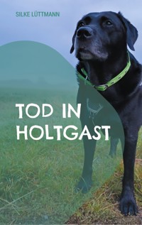 Tod in Holtgast - Silke Lüttmann - ebook