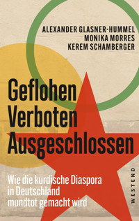 Geflohen. Verboten. Ausgeschlossen - Alexander Glasner-Hummel - ebook