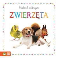 Maluch odkrywa Zwierzęta -  - książka