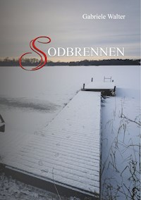 Sodbrennen - Gabriele Walter - ebook
