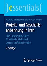 Projekt- und Geschäftsanbahnung in Iran - Natascha Bagherpour Kashani - ebook