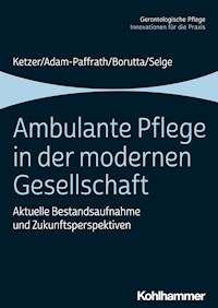 Ambulante Pflege in der modernen Gesellschaft - Ruth Ketzer - ebook