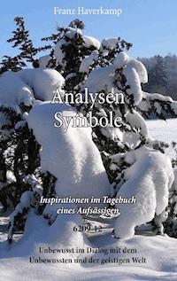 Analysen Symbole 6209-12 - Franz Haverkamp - ebook