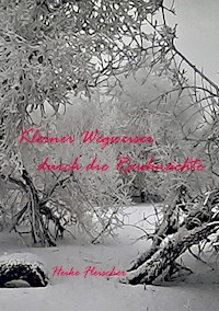 Kleiner Wegweiser durch die Rauhnächte - Heike Fleischer - ebook