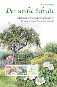 Der sanfte Schnitt - Ulrike Aufderheide - ebook