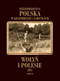 Wołyń i Polesie -  - książka