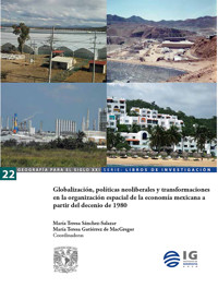 Globalización, políticas neoliebrales y transformaciones en la organización espacial de la economía mexicana a partir del decenio de 1980 - María Teresa Sánchez Salazar - ebook