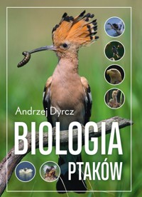 Biologia ptaków - Dyrcz Andrzej - ebook + książka