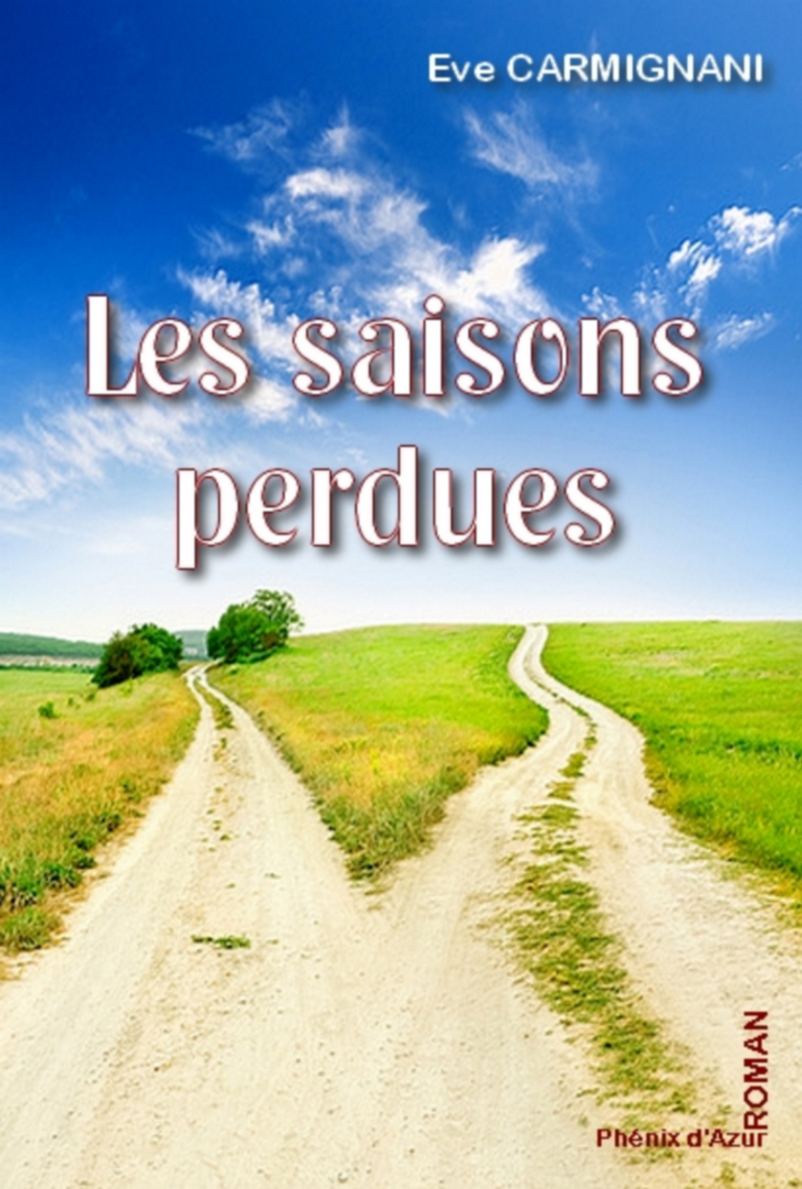 Les saisons perdues - CARMIGNANI - ebook