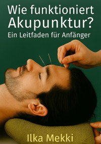 Wie funktioniert Akupunktur? - Ilka Mekki - ebook