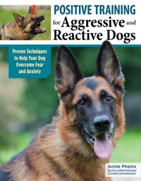 Positive Training for Aggressive and Reactive Dogs - Annie Phenix - ebook
