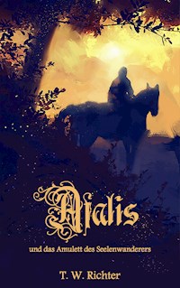 Afalis und das Amulett des Seelenwanderers - T. W. Richter - ebook