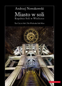 Miasto w soli The City in Salt - Andrzej Nowakowski - książka