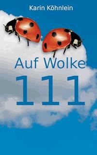 Auf Wolke 111 - Karin Köhnlein - ebook