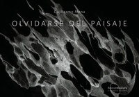 Olvidarse del paisaje - Guillermo Mena - ebook