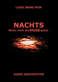 NACHTS - Luzie Irene Pein - ebook