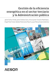 Gestión de la eficiencia energética en el sector terciario y la Administración pública - Javier Dufour Andía - ebook
