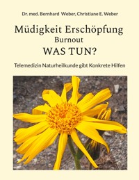 Müdigkeit Erschöpfung Burnout was tun? - Bernhard Weber - ebook