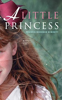 A Little Princess - Francis Hodgson Burnett - ebook