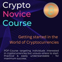 Crypto Novice Course - Mario Financial Insider - ebook