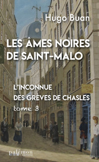 L'inconnue des Grèves de Chasles - Buan Hugo - ebook