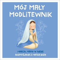 Mój mały modlitewnik. Maryjo, mamo w niebie. Rozmyślania z Matką Bożą - Tadeusz Ruciński - książka