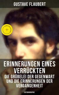 Erinnerungen eines Verrückten - Die Grübelei der Gegenwart und die Erinnerungen der Vergangenheit - Gustave Flaubert - ebook