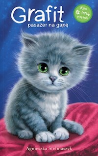 Kto mnie przytuli? Grafit pasażer na gapę - Agnieszka Stelmaszyk - książka