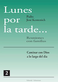 Lunes por la tarde… Tomo 2 - José Kentenich - ebook