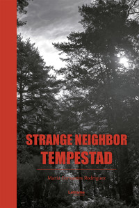 Strange Neighbor Tempestad - María Cervantes Rodríguez - ebook