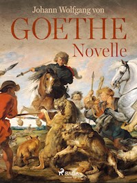 Novelle - Johann Wolfgang von Goethe - ebook