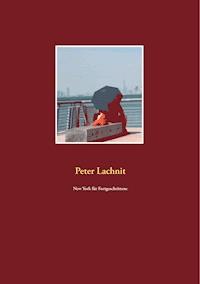 New York für Fortgeschrittene - Peter Lachnit - ebook