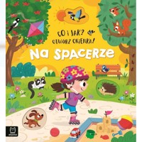 Co i jak? Otwórz okienka! Na spacerze - Agnieszka Bator - książka