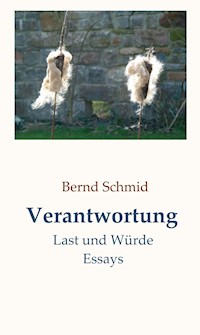 Verantwortung - Bernd Schmid - ebook