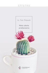 Mała szkoła przebaczania - Śliżewski Piotr - książka