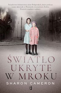 Światło ukryte w mroku - Cameron Sharon - ebook + audiobook + książka