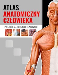 Atlas anatomiczny człowieka -  - książka