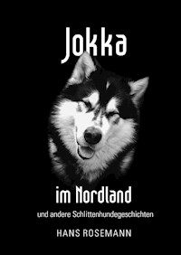 Jokka - Hans Rosemann - ebook