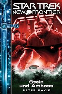 Star Trek - New Frontier 13: Stein und Amboss - Peter David - ebook