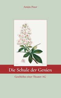 Die Schule der Genien - Armin Peter - ebook