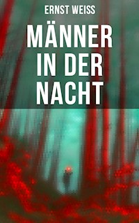 Männer in der Nacht - ernst  weiß - ebook
