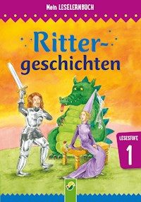 Rittergeschichten - Carola von Kessel - ebook
