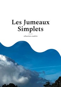 Les Jumeaux Simplets - Sébastien Coudrin - ebook