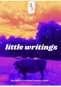 little writings - Jan Wolter - ebook