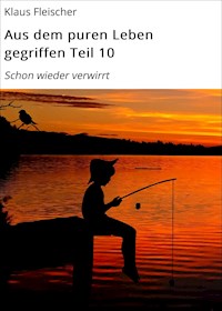 Aus dem puren Leben gegriffen Teil 10 - Klaus Fleischer - ebook