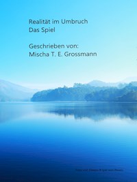 Realität im Umbruch - Mischa Tassilo Erik Grossmann - ebook