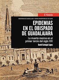 Epidemias en el obispado de Guadalajara - David Carbajal López - ebook