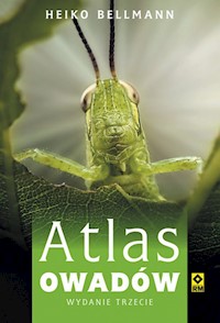 Atlas owadów - Bellmann Heiko - książka